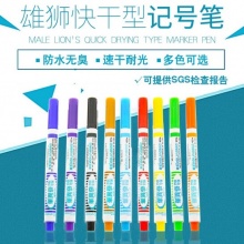 雄狮 NO.600 油性细字奇异笔记号笔 1.0mm 橙色 12支/盒