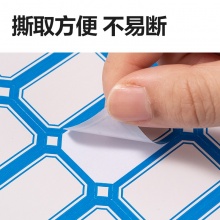 得力 BT7196 量贩装标贴 24*38mm 蓝色带框 24张/包