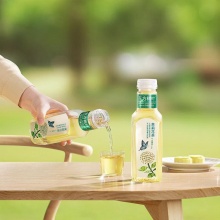 农夫山泉 东方树叶 茉莉花茶 500ml*15瓶 